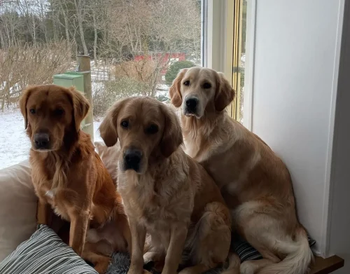 original-0B33C7CB-3E57-4729-9F78-A51AB72B9944