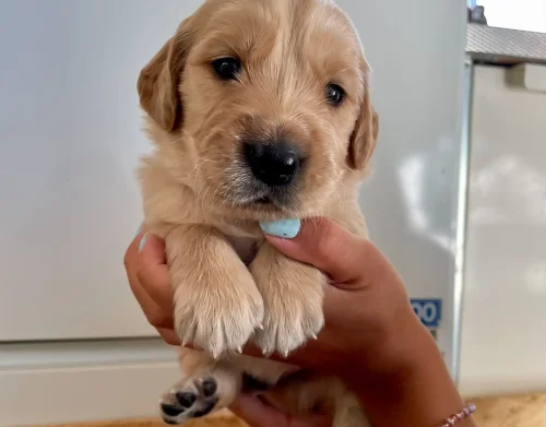 processed-C9413FCE-CF7F-4F26-8CDD-0D11593270EB